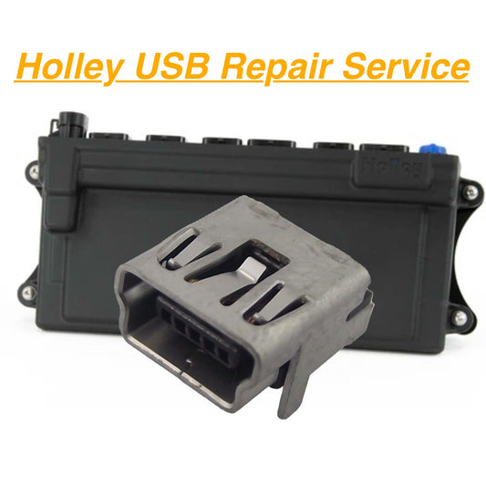 Holley Dominator/HP USB Repair Service